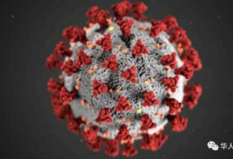 美国疫情现曙光专家:新冠病毒将流感化