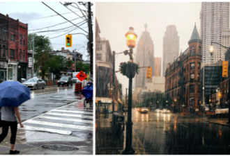 多伦多九月降雨量破25年纪录