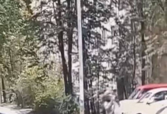 俄：游民强掳9岁女孩！欲拖入树丛性侵