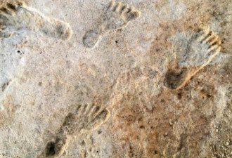 化石脚印研究证明早期人类在23000年前抵北美