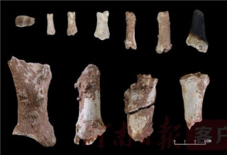 河南鲁山仙人洞遗址发现3.2万年前现代人头骨