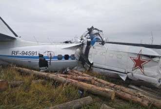 俄罗斯一轻型飞机坠毁 媒体称已有19人遇难