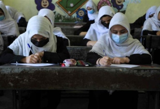塔利班否认禁止女孩上中学:她们上课路上不安全