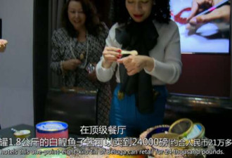 BBC高分纪录片:亿万富豪的生活，我被惊到了!
