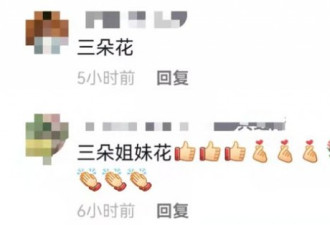 杨丽萍三姐妹五官如复制粘贴，气质优雅从容