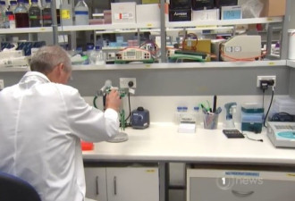 新西兰最先进血癌治疗技术揭开面纱