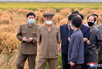 朝鲜的粮食状况危险 可能正接受中国援助