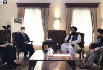 驻阿富汗大使:中国首批援阿越冬物资将近日抵达