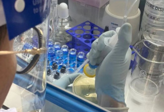 一个父亲的抉择：铤而走险，还是看着孩子死去