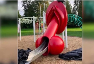 家长怒了！大温某儿童公园出现“生殖器”滑梯