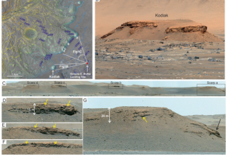 &quot;毅力&quot;号火星探测论文：杰泽罗陨石坑曾为湖泊
