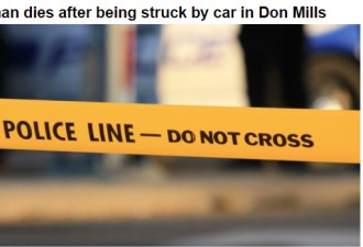 多伦多一名女行人被汽车撞死
