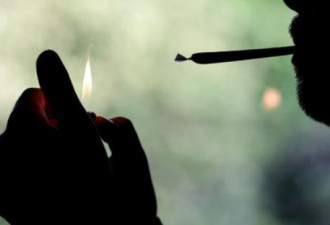 大麻在德国也要合法化啦？警察工会批评