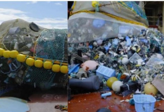海洋垃圾清除机终成功 人类能多活2万年了