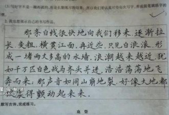 乡村女教师批改学生作业走红 字如印刷体