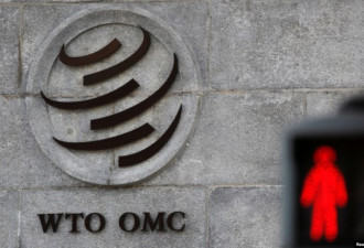 WTO审议对华贸易政策前 戴琪提中国非市场行为