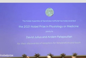 2021诺贝尔生理学或医学奖揭晓 两名科学家获奖
