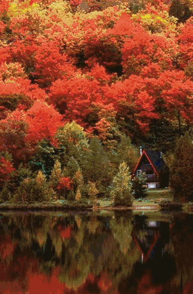 据说，秋天的加拿大，是这个星球上最美的国家