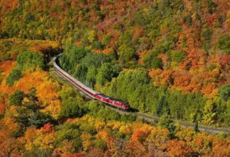 据说，秋天的加拿大，是这个星球上最美的国家