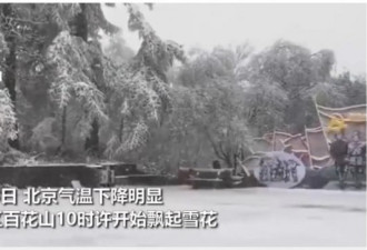 北京迎来降雪！银装素裹彷如进入银白色世界