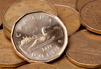 加拿大经济继续恢复 今年7月份增长0.5%