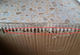 武汉市民买25斤苹果 纸箱夹缝灌了7斤水泥