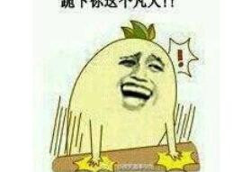 神吐槽国庆版：厉害了我的哥 被狗咬诉政府
