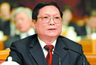 北京前市长视察西藏 举家同往遭质疑