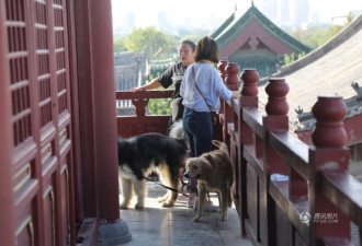 河南开封景区垃圾遍地 游客牵大型犬游览