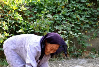 探访中国长寿之乡:百岁老人喝酒后还能干活
