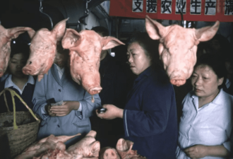 罕见!40年前中国珍贵影像网友:家乡曾是这样?