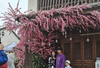 洪欣张丹峰带女儿出游，一家三口画面温馨幸福