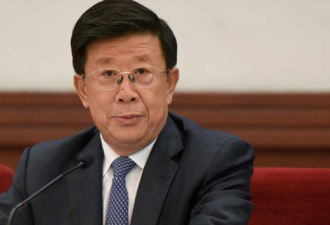 揪孙力军余党 公安部三大系统遇前所未有大整肃