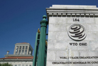 世贸组织对华贸易政策审议 美澳代表各提不满