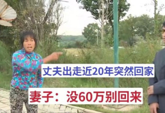 丈夫离家出走近20年后突然回家 妻子怒提这要求
