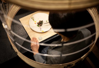 日本餐厅吃饭放防疫灯笼罩：疯了吗？