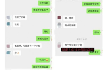 宠物犬烘干后死亡？员工进烘干箱亲测2.5小时