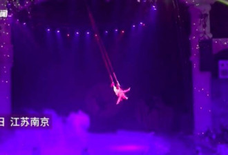南京一动物园杂技演员意外从高空坠落 已送医