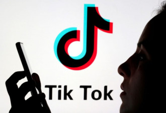 TikTok高层听证会否认向中国政府提供用户资料