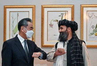 陆媒：关键时刻，塔利班对中国承诺了10个字！