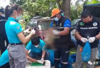 泰国警方救出44只猕猴 被走私往中餐馆