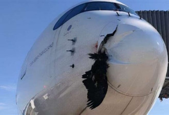 一架空客降落时遭鸟击:机鼻被撞成这样