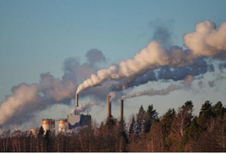 近90国加入全球甲烷承诺 对抗气候变迁