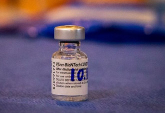吹哨人：辉瑞疫苗在美试验中严重违规 伪造数据