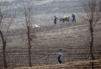 朝鲜出现饥荒报告 气候变化恐恶化其脆弱经济