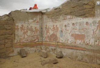 埃及“死者之城”又一重大考古发现