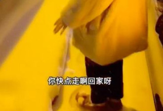 王小利孙子曝近照，头发浓密越长越漂亮