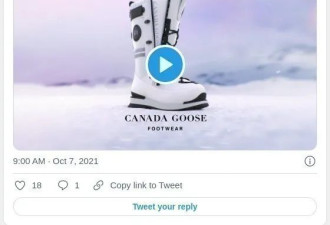 加拿大鹅业绩飙升 要出千元加币的靴子