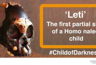 史上首个！科学家发现已灭绝人种儿童头骨