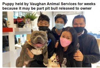 被抓走斗牛犬获释4天后闯祸：把13岁孩子脸咬伤